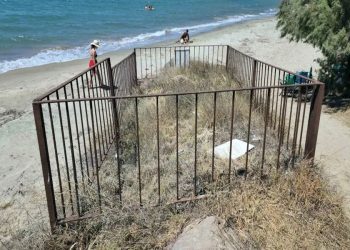 Kum zambaklarını koparmanın cezası 387 bin, çöplüğe çevirmek ve yok etmenin cezası yok