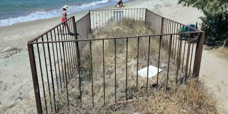 Kum zambaklarını koparmanın cezası 387 bin, çöplüğe çevirmek ve yok etmenin cezası yok