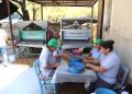 Muğla Tarımı Dünyaya Açılıyor