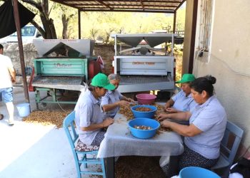 Muğla Tarımı Dünyaya Açılıyor