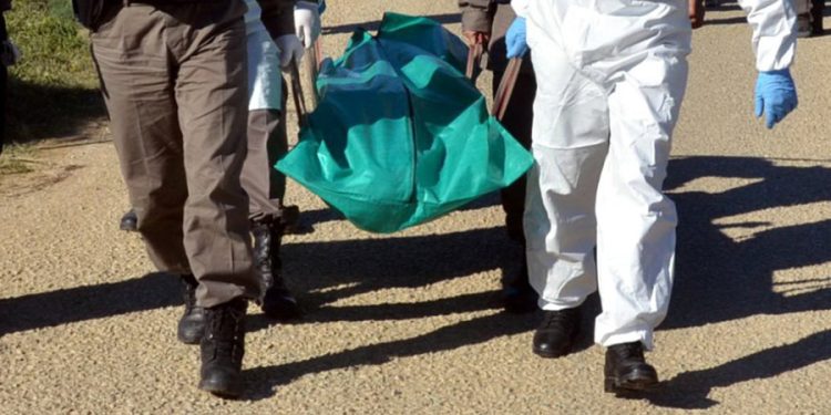 Gölköy’de Ormanlık Alanda Ağaca Asılı Halde Bulundu