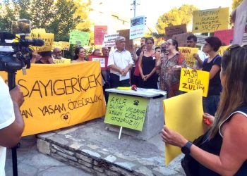 Sokak Hayvanları Yasa Tasarısına Tepki