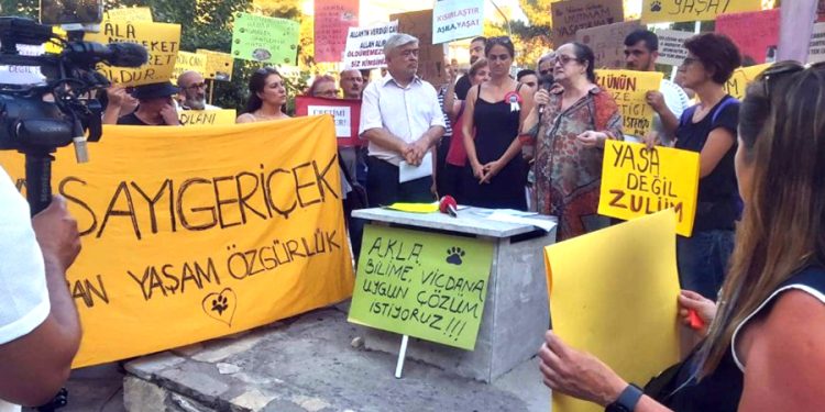 Sokak Hayvanları Yasa Tasarısına Tepki
