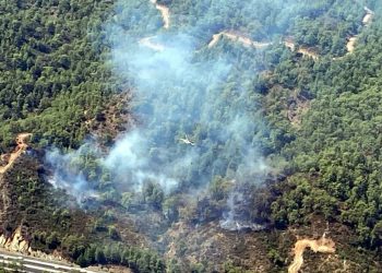 Köyceğiz’de Orman Yangını Başladı