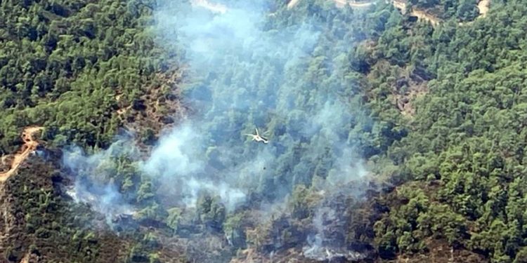 Köyceğiz’de Orman Yangını Başladı