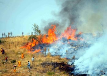 Akyarlar’da Yangın Tatilcileri Korkuttu