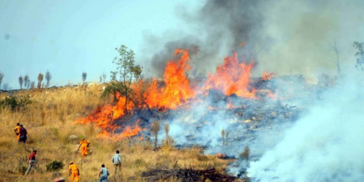 Akyarlar’da Yangın Tatilcileri Korkuttu