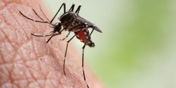 Komşu’da hortladı, bir haftada 5 can aldı