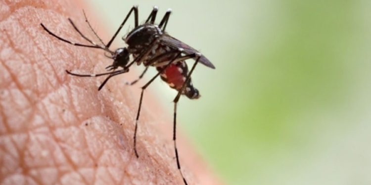 Komşu’da hortladı, bir haftada 5 can aldı