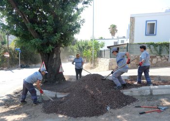Temizlik Seferberliği Torba’da Devam Etti