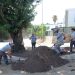 Temizlik Seferberliği Torba’da Devam Etti