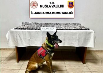 Bodrum’da Uyuşturucu Operasyonu: 4.756 Sentetik Hap Ele Geçirildi