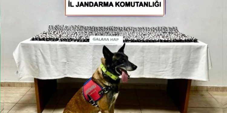 Bodrum’da Uyuşturucu Operasyonu: 4.756 Sentetik Hap Ele Geçirildi