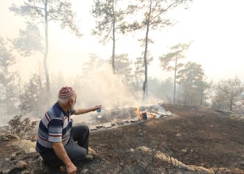 Büyükşehir Orman Yangınları Sonrası Üreticinin Yanında