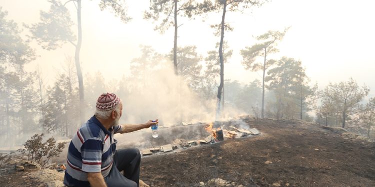 Büyükşehir Orman Yangınları Sonrası Üreticinin Yanında