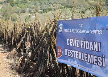 Büyükşehirden Her Kapıda Bir Fidan Projesi