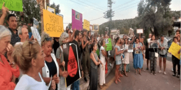 Bodrum sokak hayvanları için sokakta