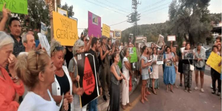 Bodrum sokak hayvanları için sokakta