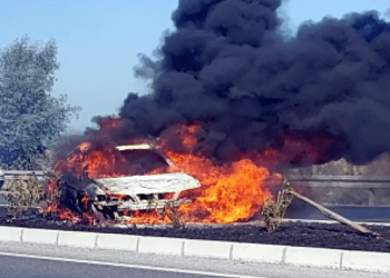 Milas Söke Karayolunda Orta Refüje Çarpan Otomobil Alev Alev Yandı