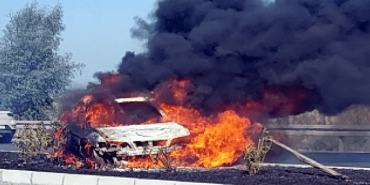 Milas Söke Karayolunda Orta Refüje Çarpan Otomobil Alev Alev Yandı