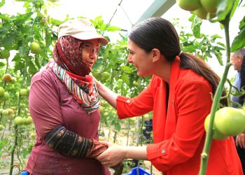 Milletvekili Gizem Özcan,  “776 bin hektar ekilemeyen tarım arazisinin ne kadarı Muğla ili sınırları içerisinde yer almaktadır?”