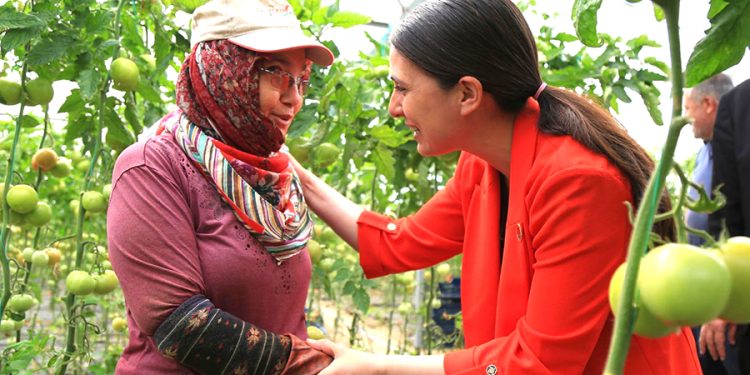 Milletvekili Gizem Özcan, “776 bin hektar ekilemeyen tarım arazisinin ne kadarı Muğla ili sınırları içerisinde yer almaktadır?”