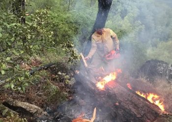 Muğla’da yıldırımlar ormanları yaktı 5 hektar kül oldu