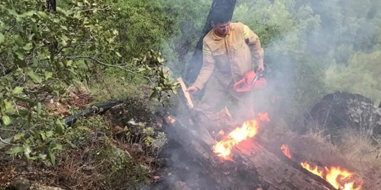 Muğla’da yıldırımlar ormanları yaktı 5 hektar kül oldu