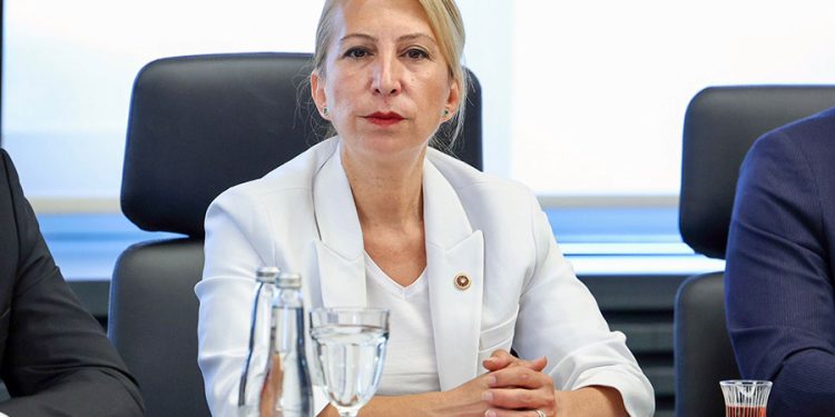 CHP Muğla Milletvekili Süreyya Öneş Derici: İktidar, Bodrum’da Turizmi Bitirmeye Yeminli