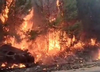 Torbada Kazadan sonra Araba’da Başlayan Yangın Orman’a Sıçradı