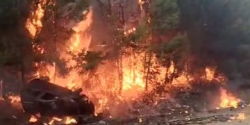 Torbada Kazadan sonra Araba’da Başlayan Yangın Orman’a Sıçradı