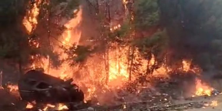 Torbada Kazadan sonra Araba’da Başlayan Yangın Orman’a Sıçradı