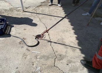 Zehirli Yılanın Başı Teneke Kutuya Sıkıştı, İtfai̇ye Kurtardı