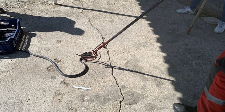 Zehirli Yılanın Başı Teneke Kutuya Sıkıştı, İtfai̇ye Kurtardı