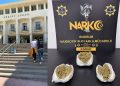 Muğla’daki narkotik operasyonlarında 7 kişi yakalandı