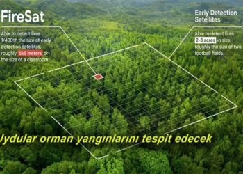 Google, orman yangınlarını 20 dakika içinde tespit eden yeni uydulara yatırım yapacak