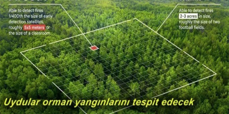Google, orman yangınlarını 20 dakika içinde tespit eden yeni uydulara yatırım yapacak