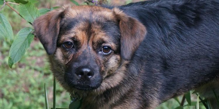 Aydınlardan Anayasa Mahkemesi’ne mektup