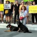 Bodrumlu hayvanseverlerden çok sert “Gebze Katliamı” tepkisi