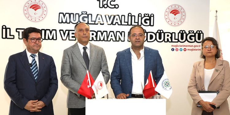 Büyükşehir 10 Bin Aşı İle Hayvancılığa Destek Oluyor