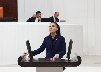 Muğla Milletvekili Gizem Özcan: Bodrum’da yanan orman alanlarına neden RES için kamulaştırdınız?