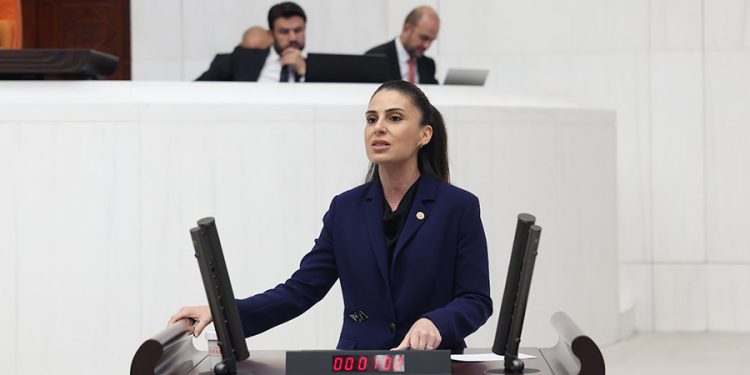Muğla Milletvekili Gizem Özcan: Bodrum’da yanan orman alanlarına neden RES için kamulaştırdınız?