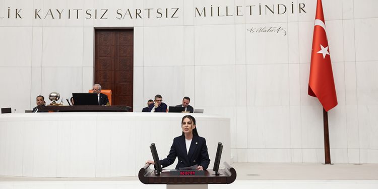 Muğla Milletvekili Özcan, “Narin Güran cinayeti”ni sordu