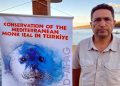 Yaralı yavru Akdeniz fokunu kurtarmak için seferber oldular