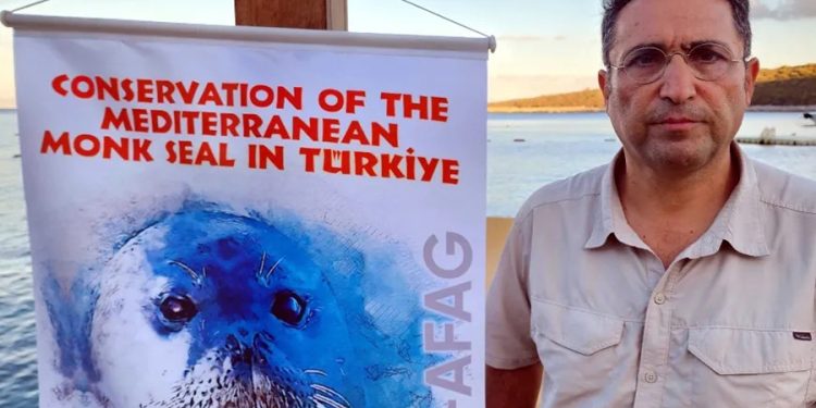 Yaralı yavru Akdeniz fokunu kurtarmak için seferber oldular