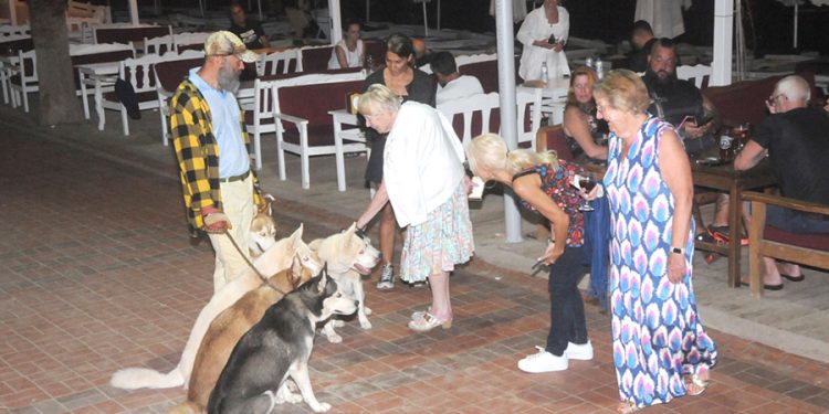 Köpeklerini Amerika’ya Uçakla Götüremediği İçin Mecburi Tatil Yapıyor