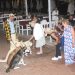 Köpeklerini Amerika’ya Uçakla Götüremediği İçin Mecburi Tatil Yapıyor