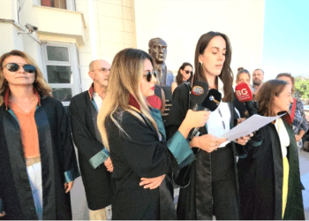 Bodrumlu avukatlar “Ülkemizde 4 ekim hayvanlar günü olmaktan çıkmıştır”