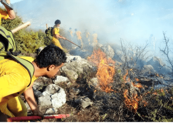 Gümüşlük’te korkutan yangın