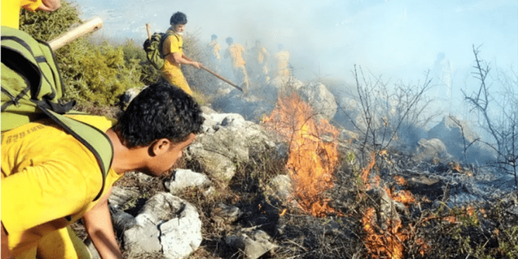 Gümüşlük’te korkutan yangın